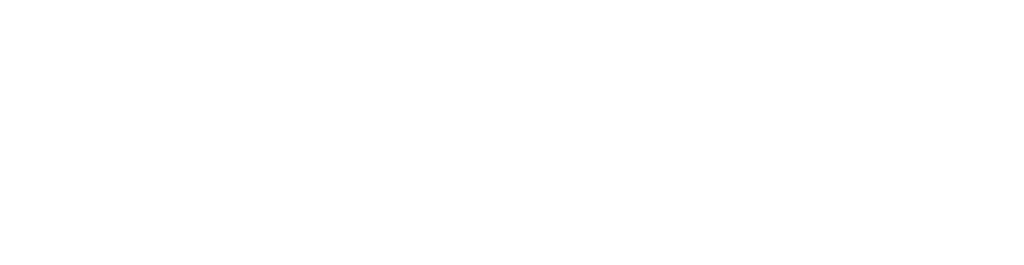 vidasci-bioinformatique-data-science-analyst-machine-learning-engineering-belgique-omique-chimiométrie-optimisation-modélisation