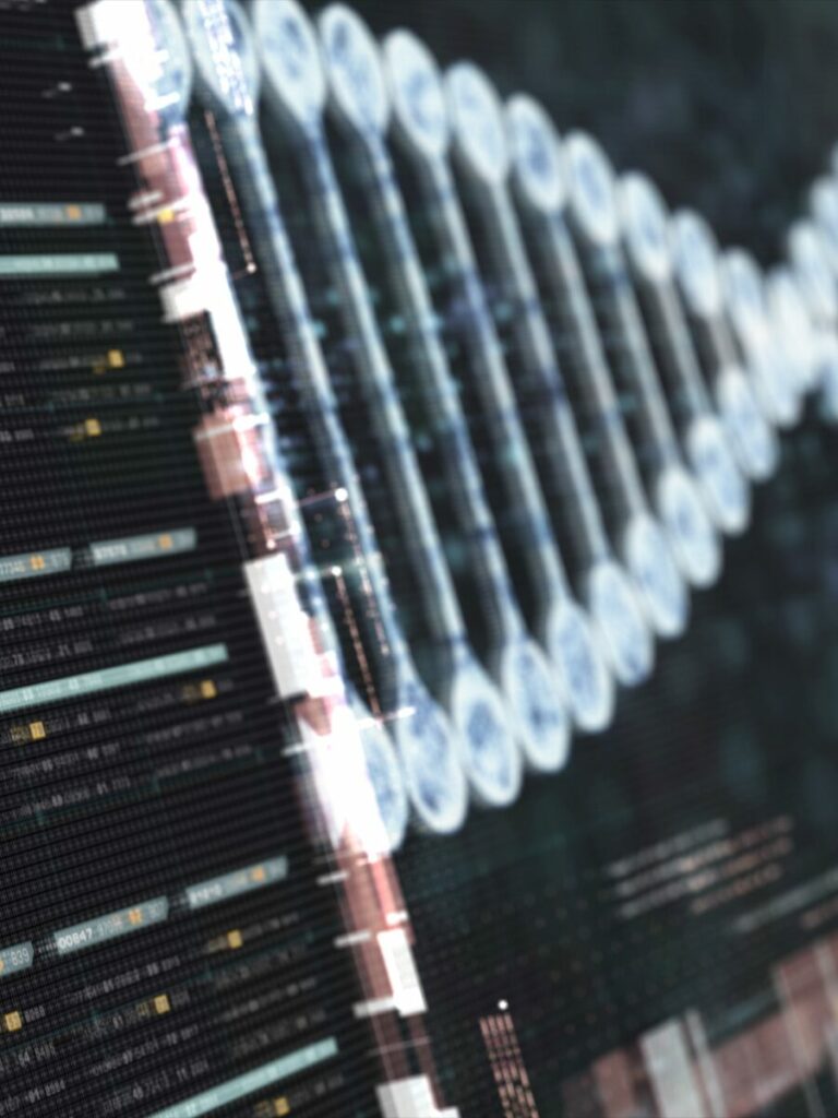vidasci-bioinformatique-data-science-analyst-machine-learning-engineering-belgique-omique-chimiométrie-optimisation-modélisation