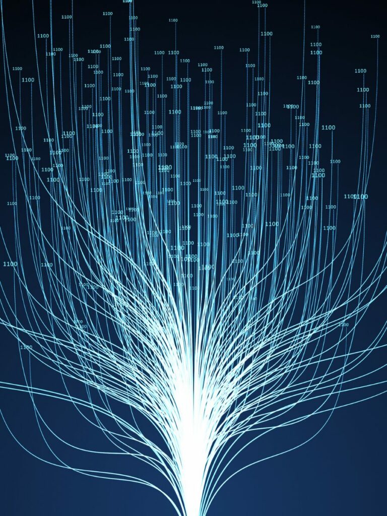 vidasci-bioinformatique-data-science-analyst-machine-learning-engineering-belgique-omique-chimiométrie-optimisation-modélisation